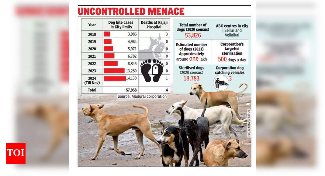 マドゥライでは11月までに犬咬傷事件が14,000件以上 |マドゥライのニュース