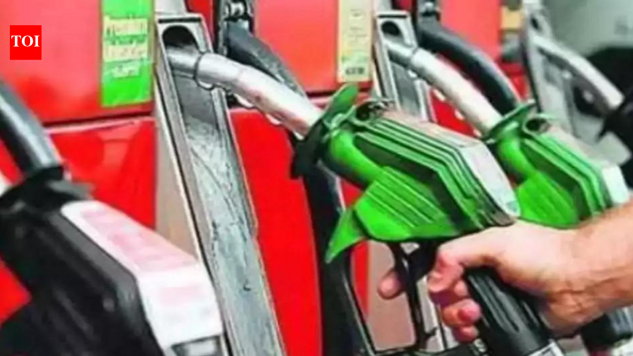 CII calls for cut in excise duty on fuel - The Times of India