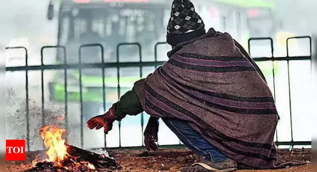 Delhi Weather: Cold wave likely in parts of north India from today | Delhi News – Times of India