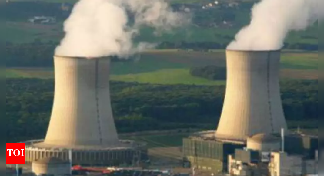 Pakistan to construct 'largest' nuclear plant with Chinese design ...