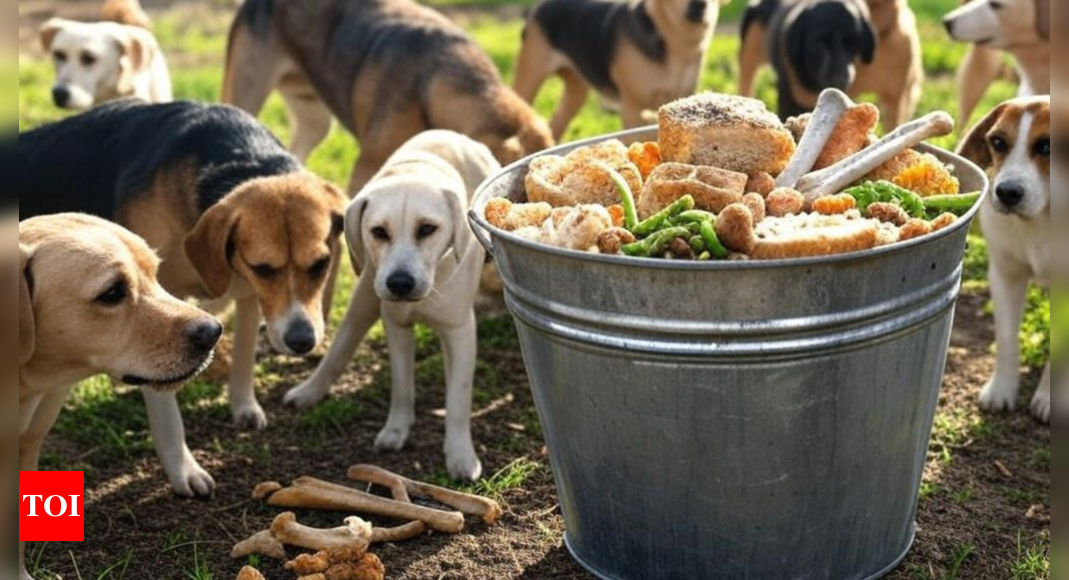 Chinese school under fire for serving kids leftovers from dog bucket