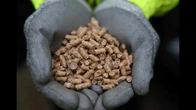 Blending pellets unviable? PSPCL urges centre for 100% VGF for ...