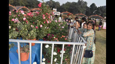 New white rose specimen honouring Ratan Tata debuts at year-end show
