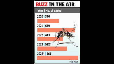 Most of 2024’s dengue cases in Goa were detected in non-monsoon period