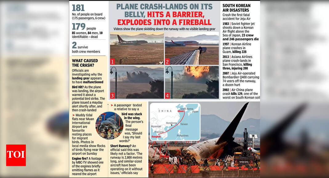 2024 becomes deadliest year in skies since 2018