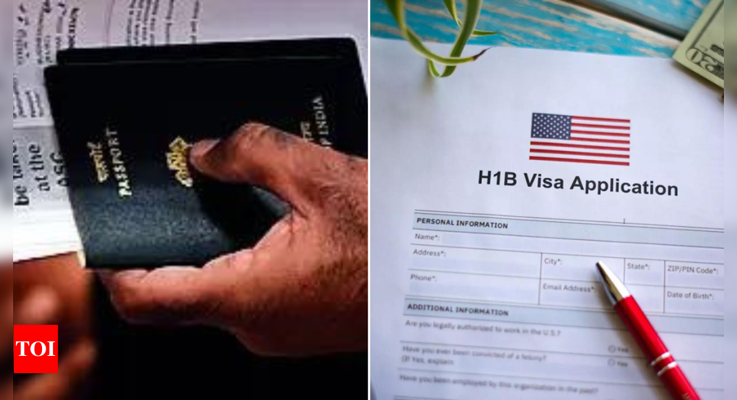 Govt on alert over H-1B row, taking feedback from IT firms