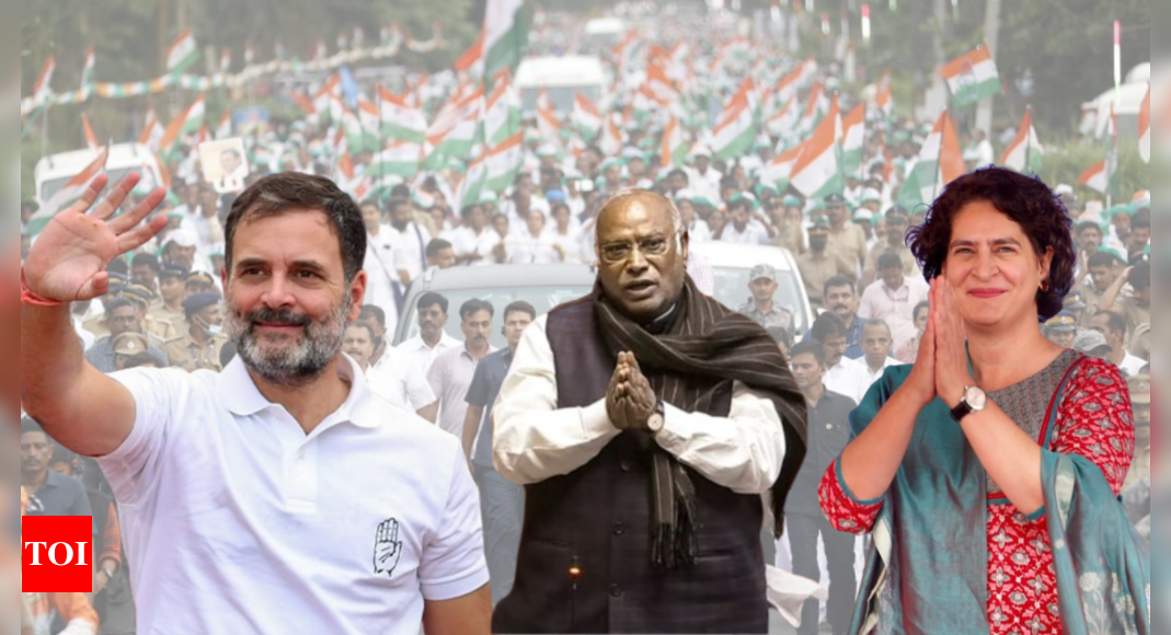 Lok Sabha gains, state losses: 2024 a year of mixed fortunes for Congress