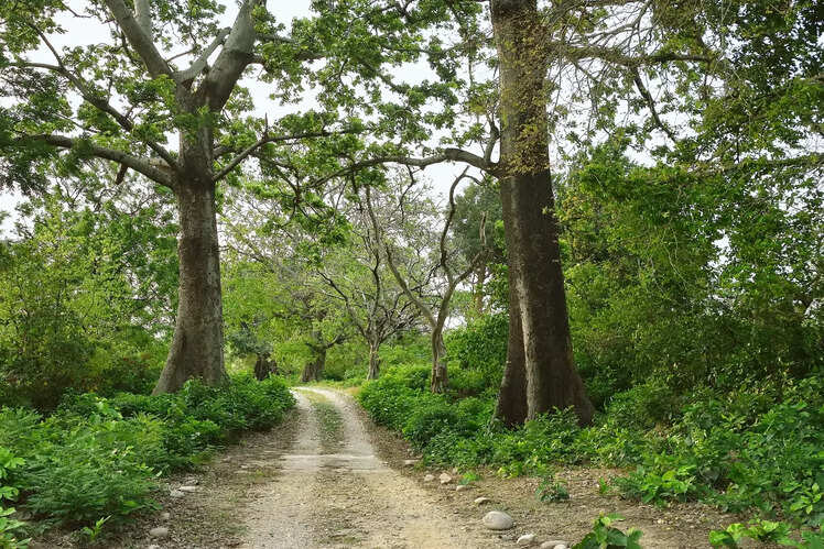 Undisturbed and offbeat destination