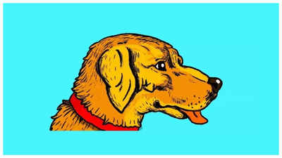 Brain teaser: Only a genius can spot a man’s face hidden in this dog in 5 seconds!