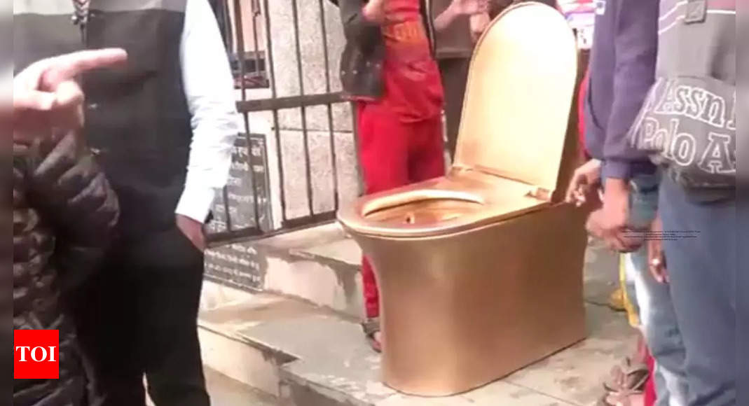 Watch: Delhi BJP leader protests against Kejriwal with 'gold-plated toilet'