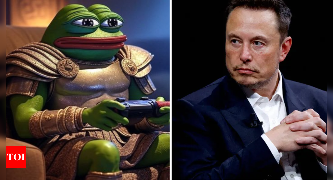 Elon Musk's Bold Name Change to 'Kekius Maximus': A Playful Nod to Meme Cryptocurrency?