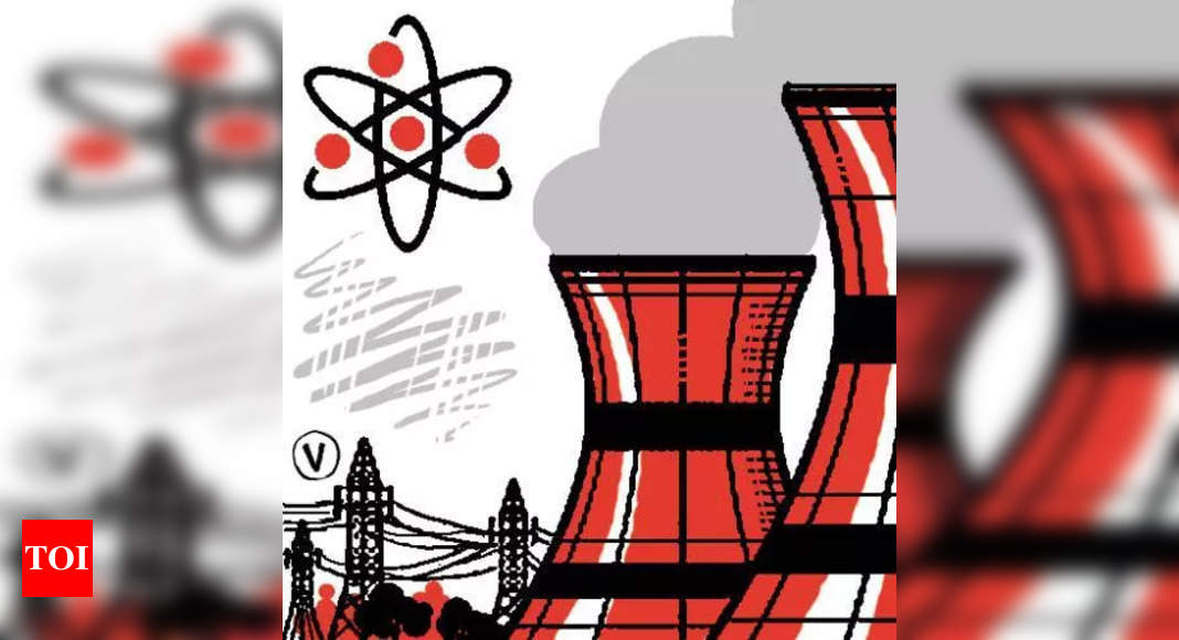 Environmental activist warns about risks of nuclear energy station in Koppal | Hubballi News – Times of India