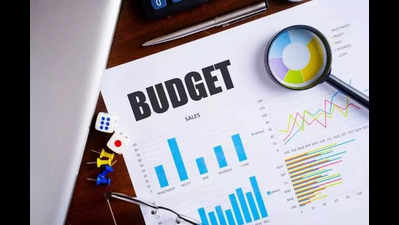 Finance dept seeks budget estimates