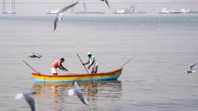 Mumbai fog spreads to sea, pushes fish to warmer waters 200km away