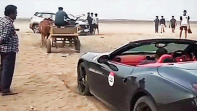 'When horsepower fails': How a bullock cart saved Ferrari stuck on Raigad beach