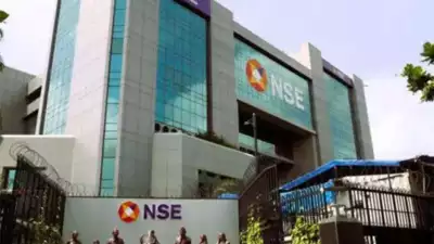 Market capitalisation of NSE increased to $5.13 trillion, up 21.5% in 2024