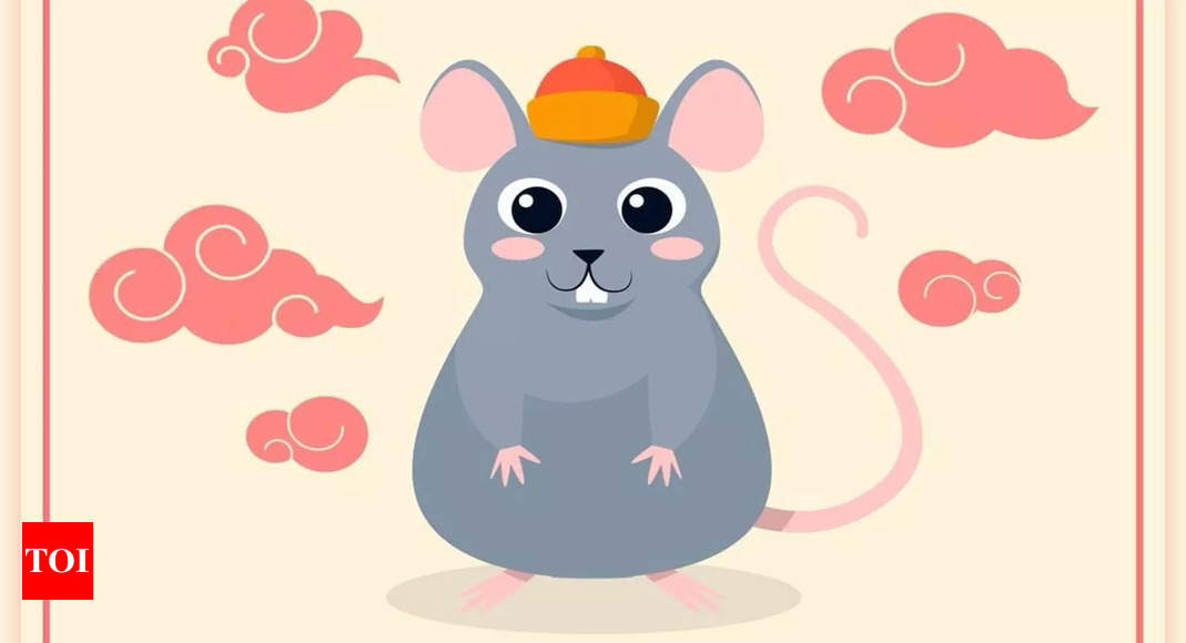 Rat Monthly Chinese Horoscope for January 2025 A Stable Start with New Goals Times of India