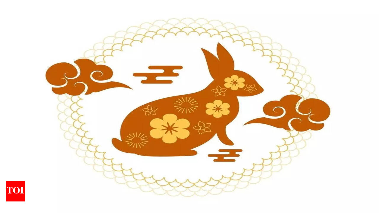 Rabbit Monthly Chinese Horoscope for January 2025: Achieve Your Goals with  Friends - The Times of India