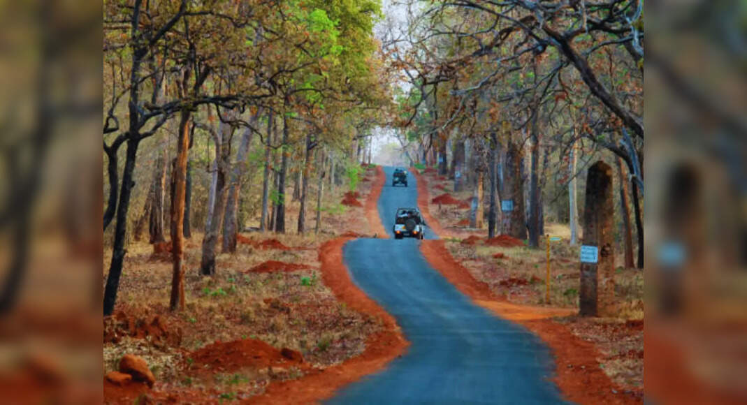 7 perfect places in India to visit with your best friend in 2025 ...