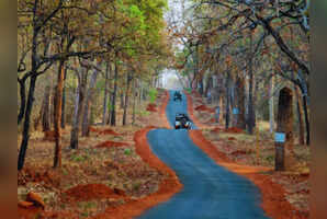 7 perfect places in India to visit with your best friend in 2025