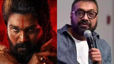 Anurag Kashyap says Hindi filmmakers ignored their audience while dubbed South films took advantage: 'Pushpa 2's trailer was released in Patna'