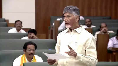 How Manmohan-era retail firm contributed to Chandrababu Naidu's Rs 931 crore wealth