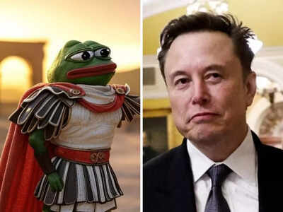 Elon Musk’s 'new name' led to an unprecedented 900% jump in the value of this Crypto memecoin