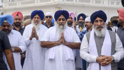 Sikh hardline groups hail SGPC U-turn on Badal's attacker