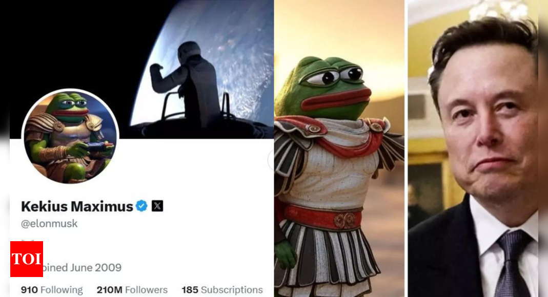 Musk's 'Kekius Maximus' avatar on X ups memecoin value, sparks online frenzy