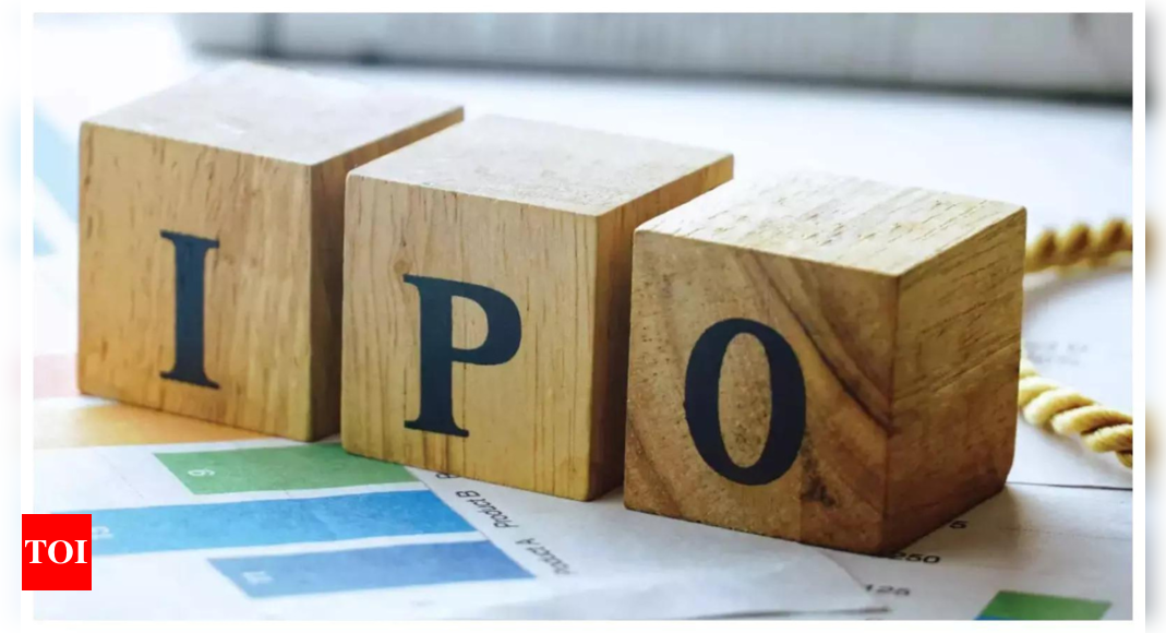 Education loan companies Credila, Avanse gear up for IPOs