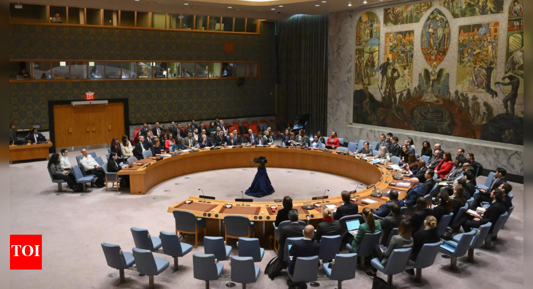 Pakistan begins two-year UN Security Council term | World News - Times ...