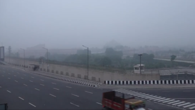 Delhi weather: Dense fog disrupts visibility, impacts flight schedules