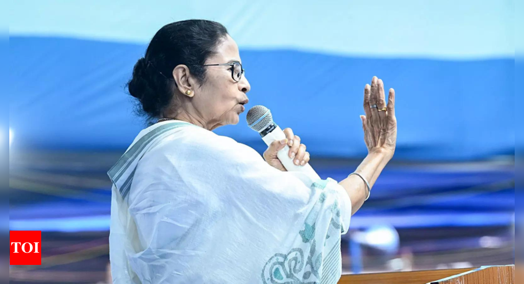 ‘Sending goons’: Mamata alleges BSF facilitating entry of infiltrators in Bengal