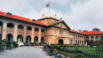 Wife not wearing 'parda' not grounds for divorce: Allahabad high court
