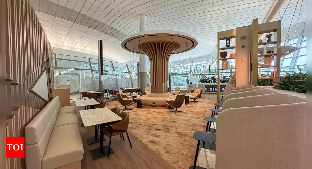 Etihad opens US pre-clearance lounge at Abu Dhabi’s Zayed International Airport – Times of India