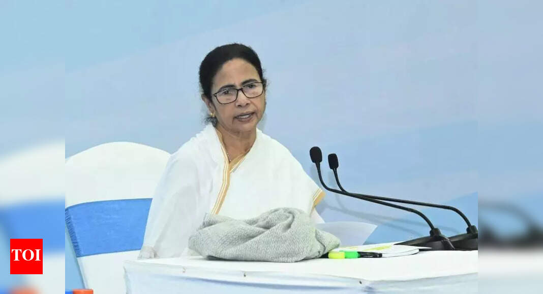 Bengal CM blames BSF for infiltration, alleges central collusion.