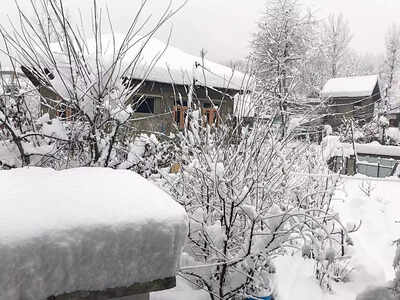 Snow squall warning issued for Sault Ste Marie and St Joseph Island