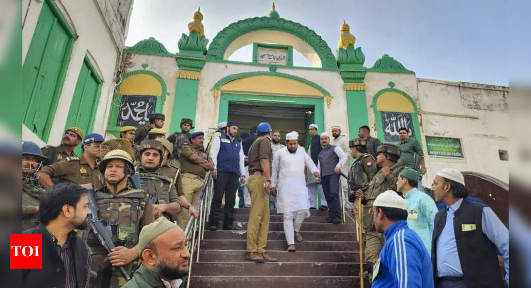 45-page Sambhal mosque survey report submitted to UP court