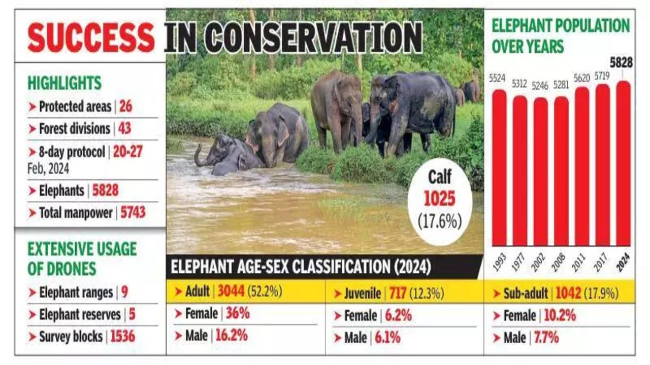 Elephant population in Assam rises to 5828 from 5719 in 2017 - Times of  India