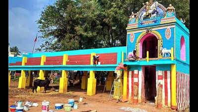 Preparations begin for Avaniyapuram jallikattu