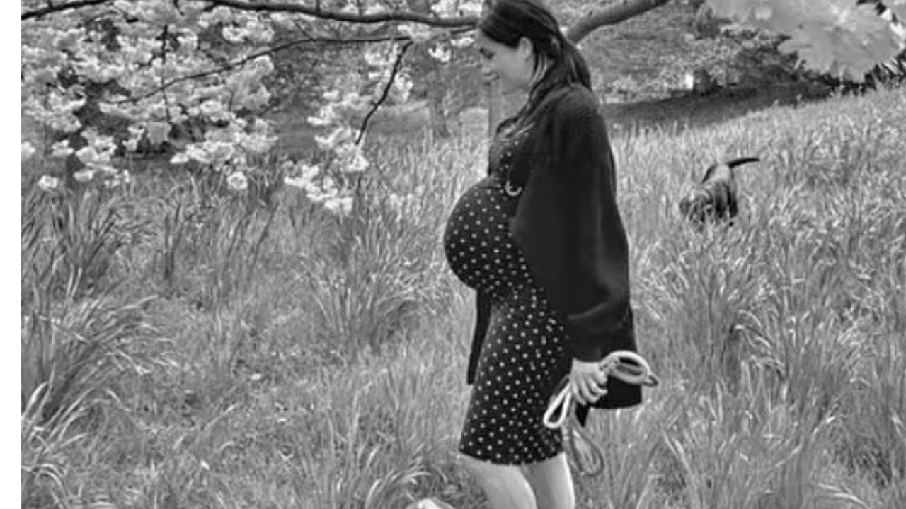 Meghan Markle Surrogacy: Meghan Markle faces surrogacy controversy as estranged father doubts Archie's birth. What happens to the line of succession? - Times of India