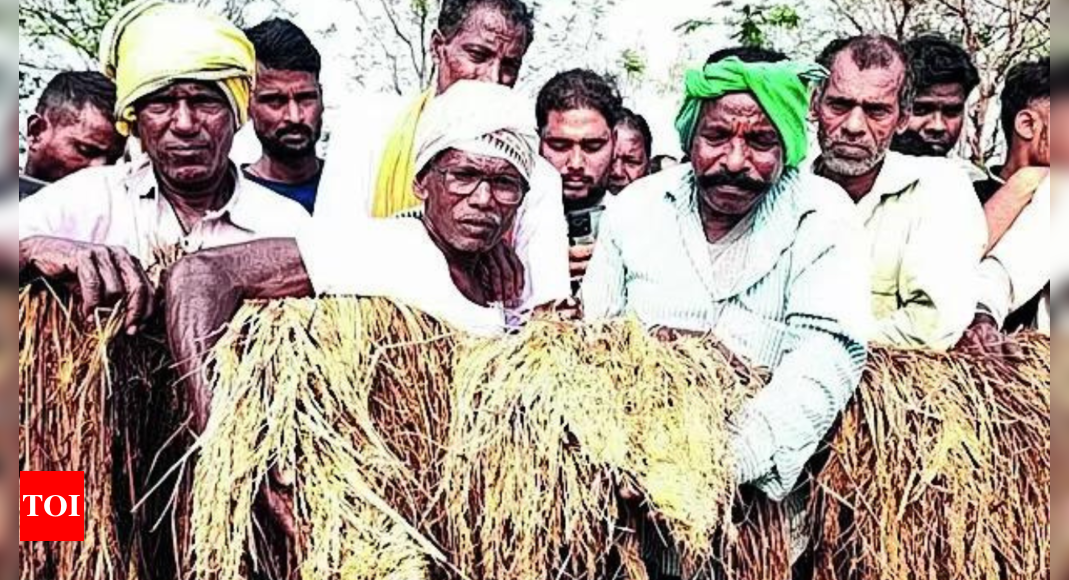 SC on MSP PIL: 'Why can't govt tell farmers its doors are open for talks?'