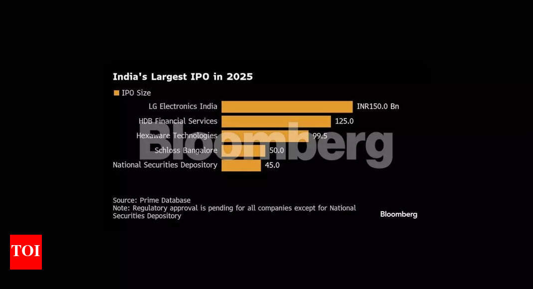 Seven billionaires created by India’s IPO boom in 2024 | India News