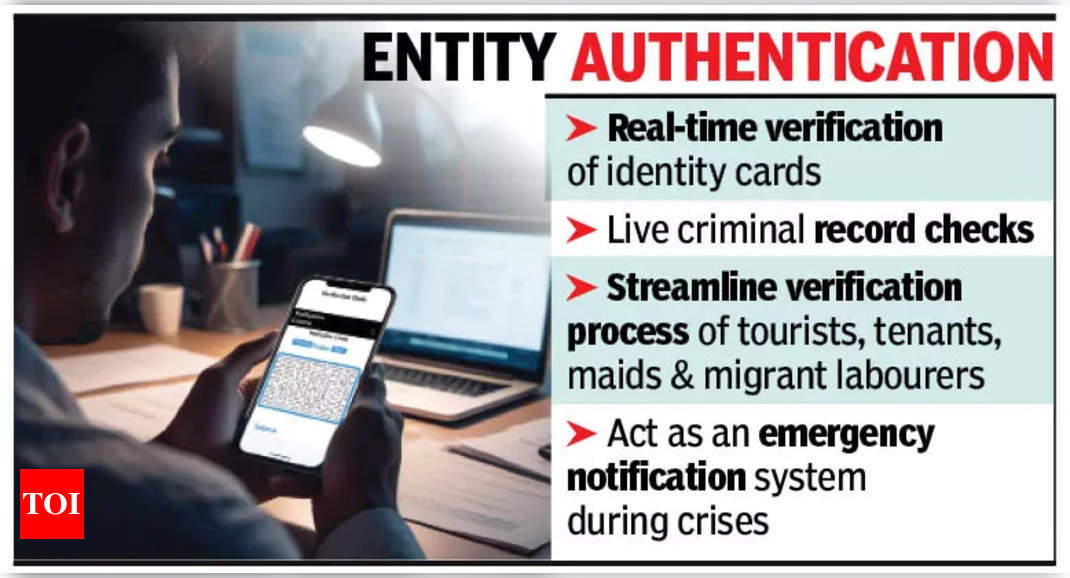 Goa cops plan to launch app for real-time checks on non-locals