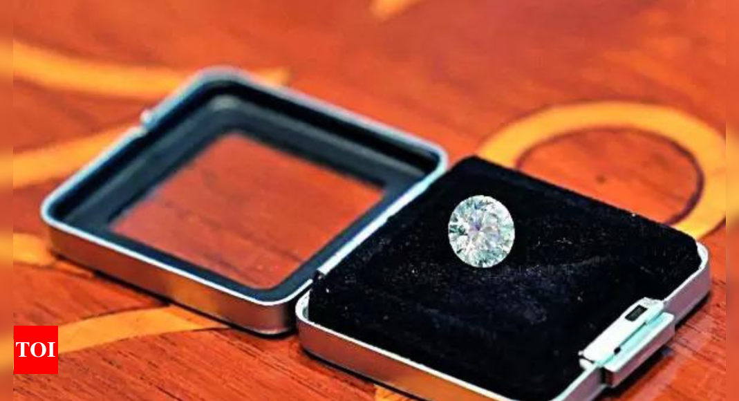 Diamond gifted to Jill Biden would cost less than Rs 2 lakh: MEA sources