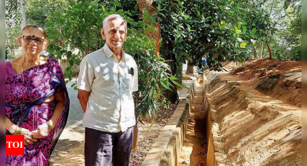 For 24 years, this senior citizen has kept his Bengaluru street green & clean