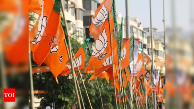 Congress has a myopic view of Indian history: BJP