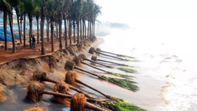 Andhra Pradesh may lose second spot for longest coastline to Tamil Nadu