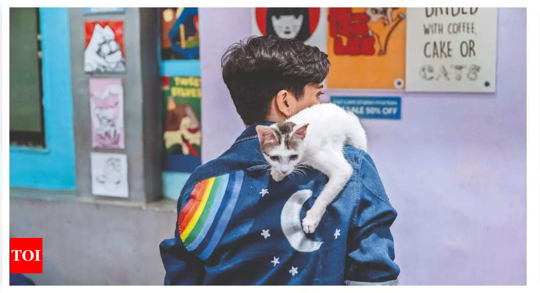 Coffee, cats and cuddles On the menu for Mumbaikars