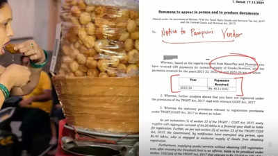 Pani puri vendor receives GST notice for Rs 40 lakh transactions; internet mocks with "career change" suggestions